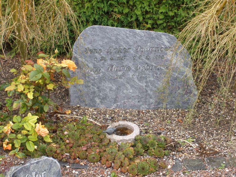 Jens Anker Johansen.JPG